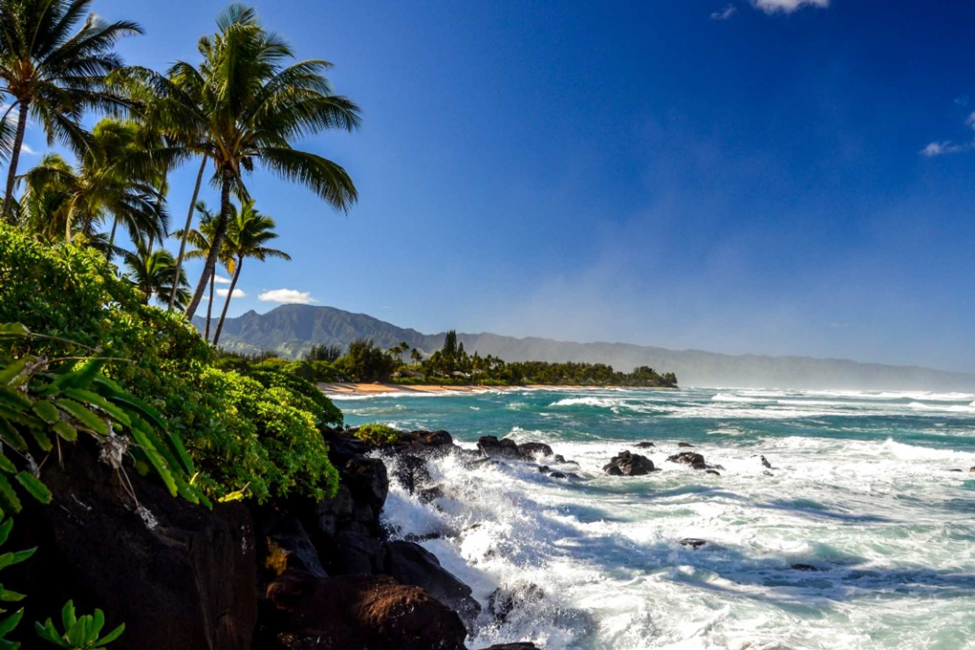 Things To Do In North Shore, Hawaii