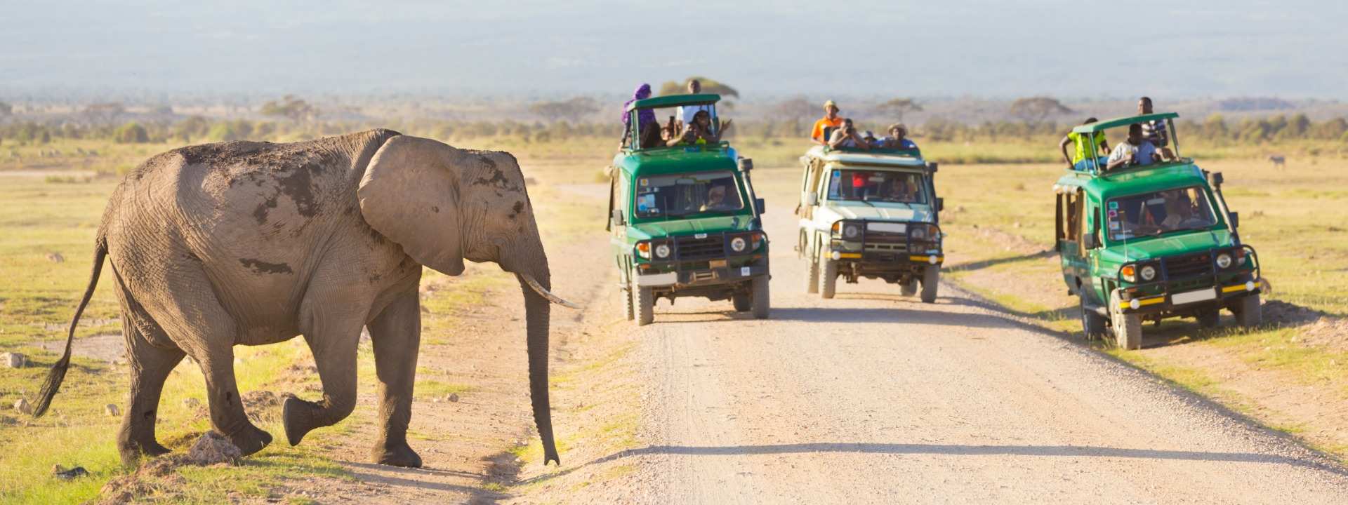 Best time to go to Kenya