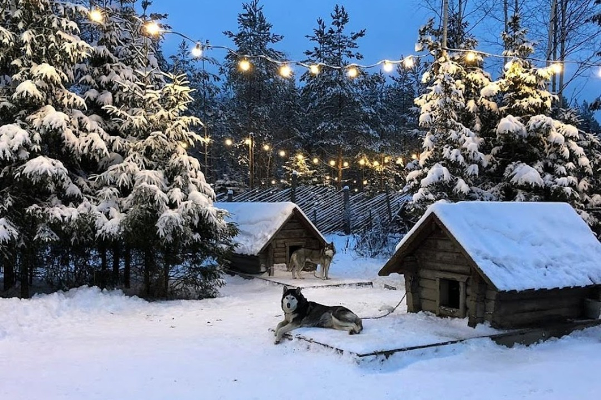 Зимняя сказка в Карелии (5/6)