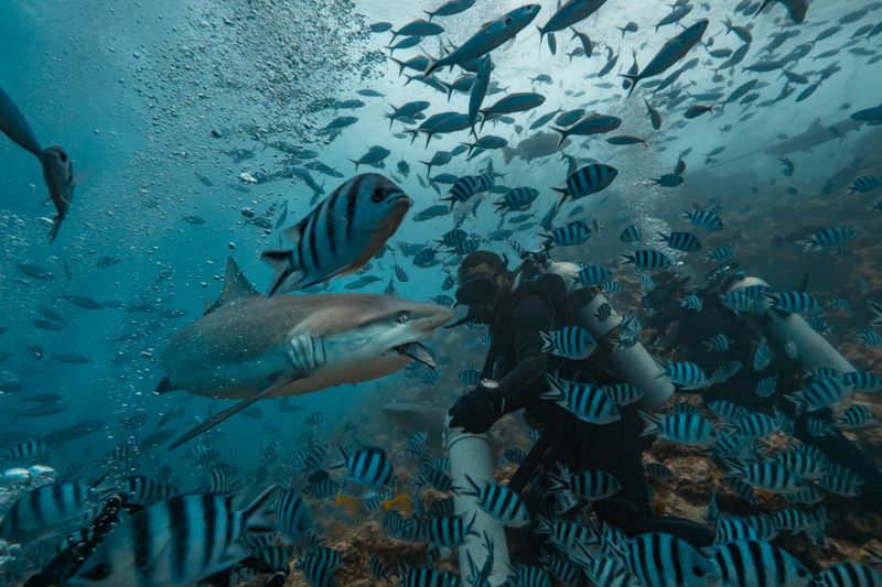 Best Scuba Diving Spots In Costa Rica