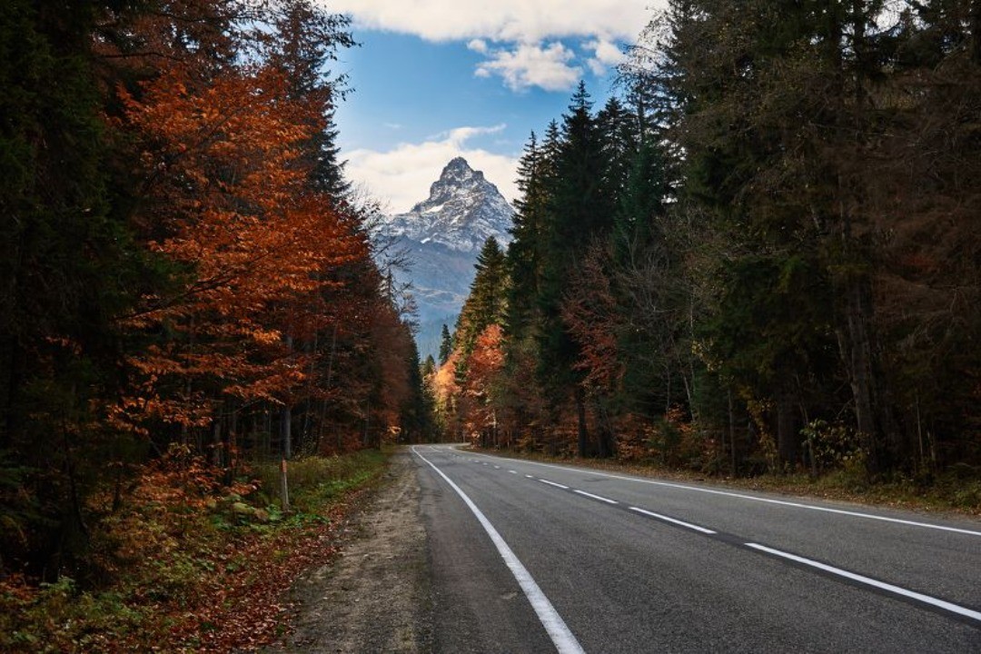 Дорога на домбай фото